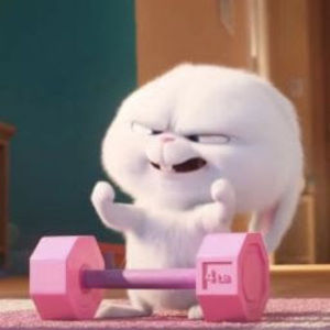 Meet your Posher, Fatima